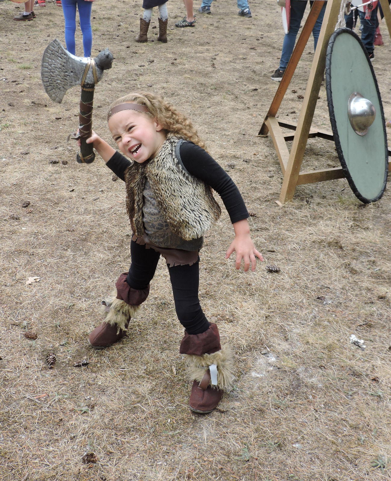 Viking Festival